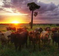 Myella Farm Stay - Internet Find