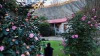 Mystic View Cottage Wandiligong