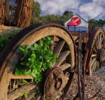 Bellum Hotel - Renee