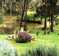 Countryside Connections Tranquil Studio - Renee