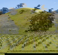 Blue House at Mountainside Wines - Internet Find