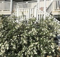 Glen Aplin Gardens BB - Renee