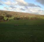 Mancuso Country Cottage Retreat - Internet Find