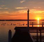 Bayview Boathouse - Internet Find