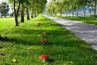Business in Lilydale TAS Renee Renee