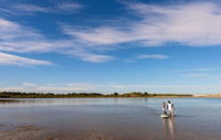 Discovery Parks - Harrington