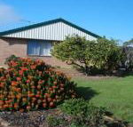 Lemontree Cottage - Swimm