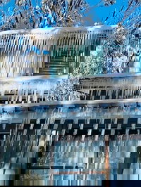 Feathertop Alpine Lodge