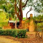 Business in Deans Marsh VIC Internet Find Internet Find
