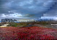 Saintys Creek Cottage