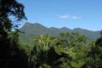 Mossman Gorge Bed Breakfast