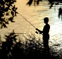 Wooli River Lodges - Renee