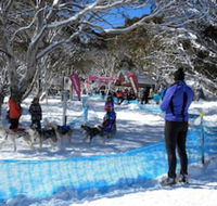 Cloud 9 Alpine Lodge - Renee