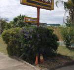 Golden West Motor Inn - Renee