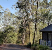 Barrington Tops Nest - Internet Find