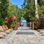 Business in Palm Cove QLD Renee Renee