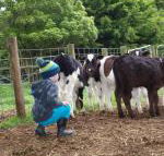 Manderley Park Farmstay B  B - Internet Find