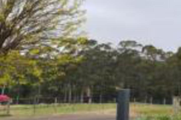 Golconda TAS Internet Find