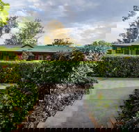 The Grapevine Motel - Renee