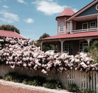 Painted Lady Bed  Breakfast - Internet Find