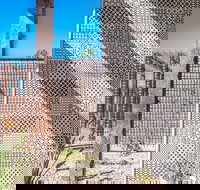 Blackbird - Internet Find