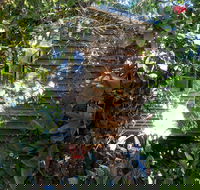 Rain Forest Gem - Renee