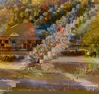 Autumn Beauty 3 - Renee