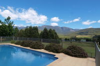 Business in Buckland VIC Swimm Swimm
