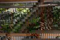 Castaways Resort  Spa Rainforest