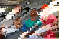 Holiday Haven Burrill Lake