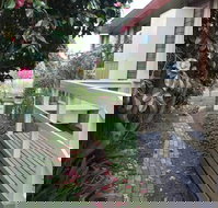 The Glen Family House - Qld Realsetate