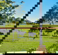 Curra Homestead Maleny - Internet Find