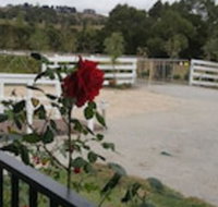 Silverbirch Cottage Loch - Renee