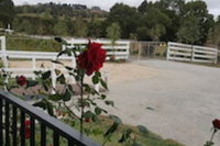 Silverbirch Cottage Loch