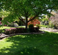 Clarence House Bright - Renee