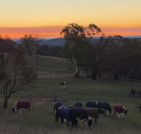 High Country Trail Rides  Farm Stay - Renee