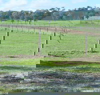 Yea Woodduck Cottage - Qld Realsetate