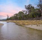 Coalmines Escape - Renee