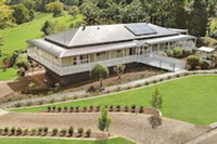Avocado Grove B  B