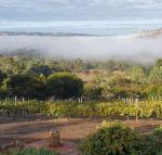 Pecan Hill BNB - Internet Find