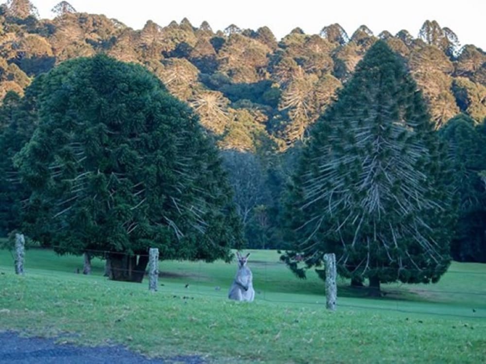 Goombungee QLD Internet Find