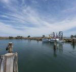 Bayside Beauty - Internet Find