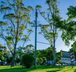 Dorrigo Mountain Holiday Park - Internet Find