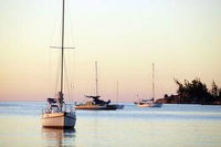Maggies Beachfront Apartments