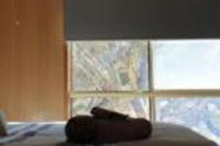 Business in Mount Rumney TAS Renee Renee