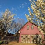 Magenta Cottage