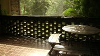 Accommodation Sydney North Forestville 4 bedroom 2 bathroom house