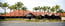 Business in Nuriootpa SA Petrol Stations Petrol Stations