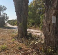 COONARR BEACH BUNDABERG CAMPING - Internet Find