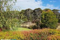 The Old Picnic Ground at Ironstone B B
